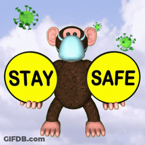 A Monkey Wearing A Mask Is Holding Two Signs That Say " Stay Safe " GIF