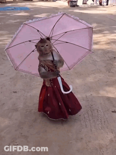 A Monkey Wearing A Red Dress And Holding An Umbrella GIF