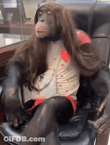 A Monkey Wearing A Wig Is Sitting In A Chair With A Purse GIF