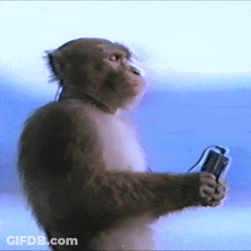 A Monkey Wearing Headphones Is Holding A Camera GIF