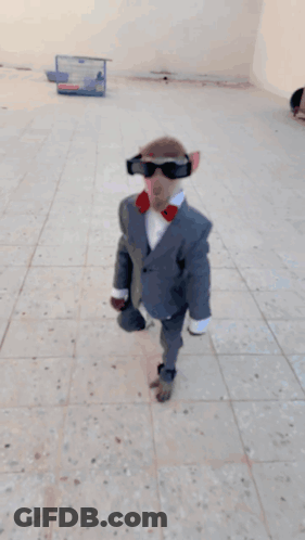 A Monkey Wearing Sunglasses And A Suit Stands On A Tiled Floor GIF