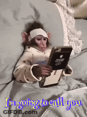 A Monkey With A Bandage On Its Head Is Holding A Cell Phone With Desire City On It GIF