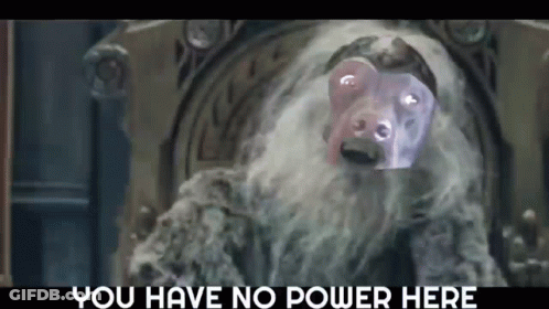 A Monkey With A Beard Is Sitting On A Throne With The Words `` You Have No Power Here '' Below It . GIF