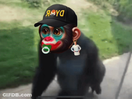 A Monkey With A Pacifier In Its Mouth Wears A Hat That Says Myo GIF