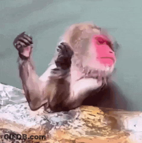 A Monkey With A Pink Face Is Laying On A Rock GIF