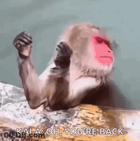 A Monkey With A Red Face Is Laying On A Rock And Says Kala Oh You 'Re Back . GIF