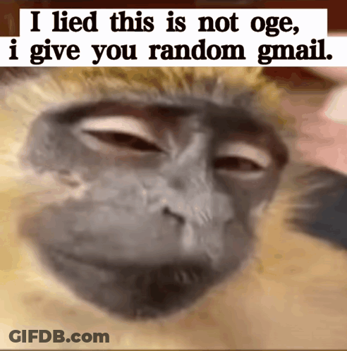 A Monkey With The Words I Lied This Is Not Oge I Give You Random Gmail GIF