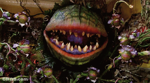 A Monster With Purple Teeth Is Surrounded By Purple And Green Flowers GIF