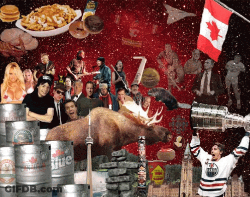 A Moose Is Standing In Front Of A Stack Of Beer Kegs That Say Lite GIF