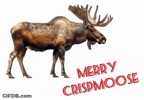 A Moose On A White Background With Merry Crispmoose Written Below It GIF
