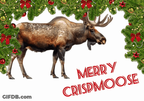 A Moose Standing Under A Christmas Tree With Merry Crispmoose Written In Red GIF