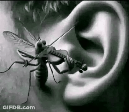A Mosquito Is Playing A Violin In A Person 'S Ear . GIF