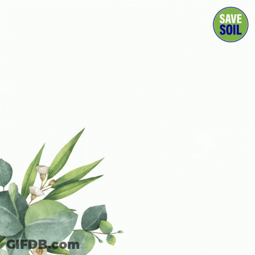 A Mother 'S Day Card With Flowers And Leaves GIF