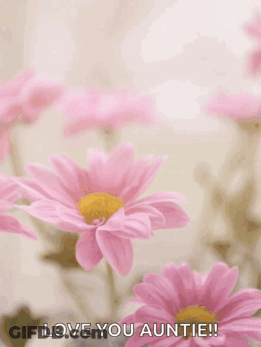 A Mother 'S Day Card With Pink Flowers And The Words " Happy Mother 'S Day Love You Auntie " GIF