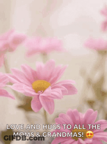 A Mother 'S Day Card With Pink Flowers And The Words " Love And Hugs To All The Moms & Grandmas " GIF