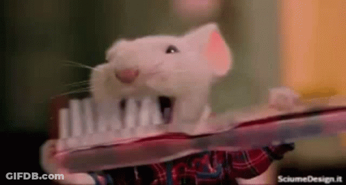 A Mouse Is Brushing Its Teeth With A Toothbrush GIF