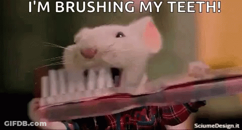 A Mouse Is Brushing Its Teeth With A Toothbrush And A Plaid Shirt . GIF