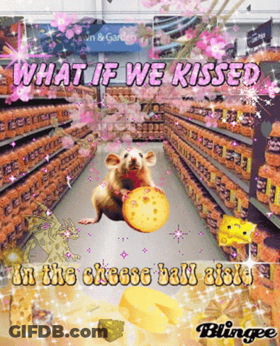 A Mouse Is Holding A Piece Of Cheese In A Grocery Store Aisle With The Words What If We Kissed In The Cheese Ball GIF