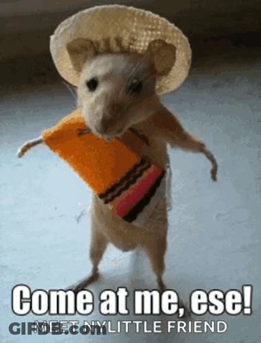 A Mouse Wearing A Sombrero And A Scarf Says Come At Me Ese Meet My Little Friend GIF