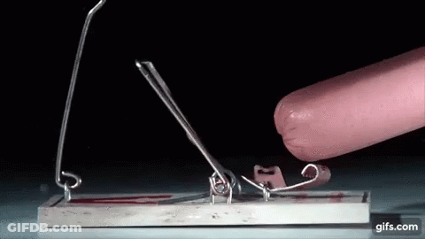 A Mousetrap With A Sausage Sticking Out Of It And A Gifs.com Icon In The Corner GIF