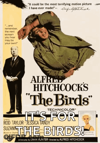 A Movie Poster For Alfred Hitchcock 'S Birds GIF