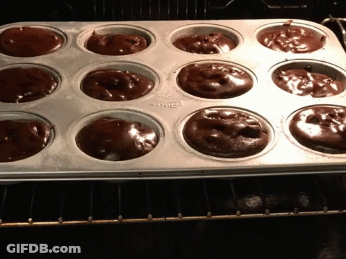 A Muffin Pan Filled With Chocolate Cupcakes Is Sitting On A Rack GIF