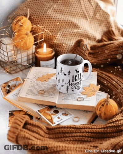 A Mug That Says Let 'S Go Wild Sits On Top Of A Pile Of Books GIF