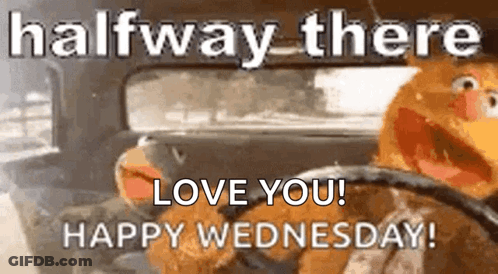 A Muppet Is Driving A Car With The Words `` Halfway There Love You Happy Wednesday '' Written On It . GIF