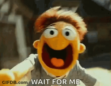 A Muppet With A Big Smile And The Words Wait For Me GIF