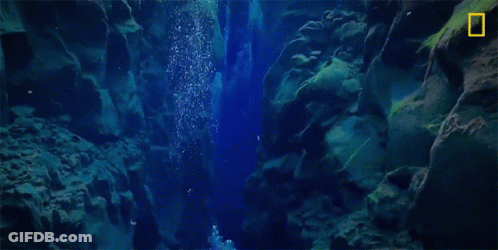 National Geographic Logo At Bottom GIF