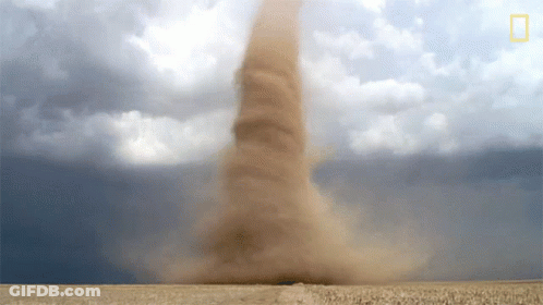 A National Geographic Logo Can Be Seen On The Bottom Right GIF