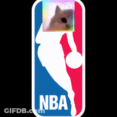 A Nba Logo With A Cat In The Middle GIF