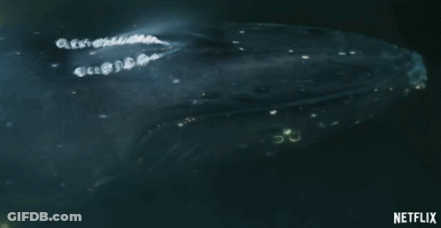 A Netflix Ad Shows A Whale Blowing Water GIF