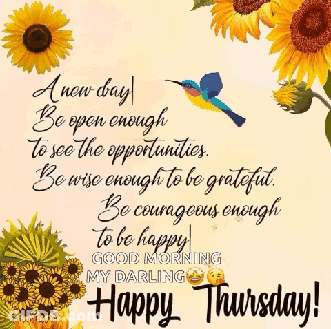 A New Day Open Enough To See The Opportunities Be Wise Enough To Be Grateful GIF