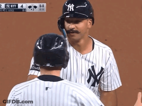 A New York Yankees Player Talks To A Referee GIF