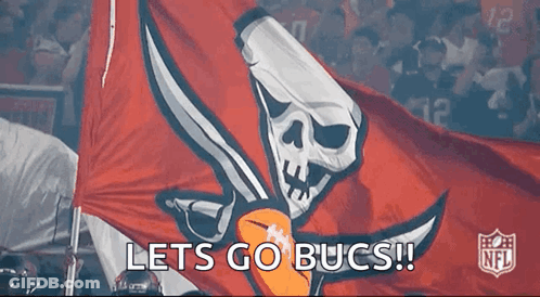 A Nfl Flag With A Skull And Crossbones On It GIF