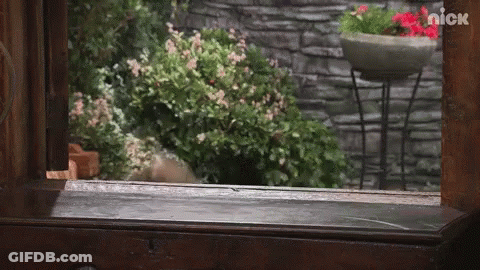 A Nick Logo Can Be Seen On A Window GIF
