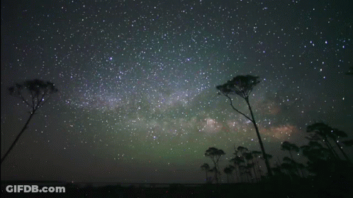A Night Sky Filled With Lots Of Stars With Trees In The Foreground GIF