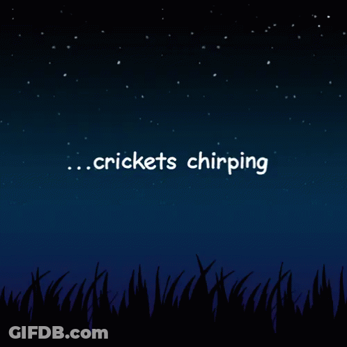 A Night Sky With Stars And The Words Crickets Chipping GIF
