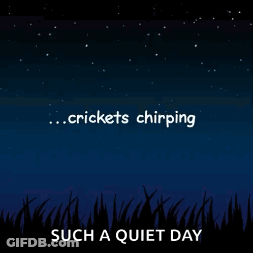 A Night Sky With The Words Crickets Chirping Such A Quiet Day Written On It GIF