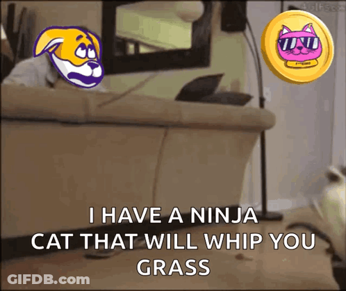 A Ninja Cat That Will Whip You Grass Is Shown In A Cartoon GIF