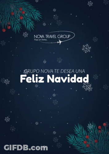 A Nova Travel Group Christmas Card With Snowflakes And Pine Branches GIF