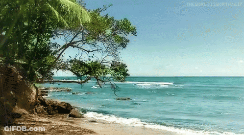 A Painting Of A Beach With A Tree In The Foreground And The Words " The World Is Worthwhile " On The Bottom GIF