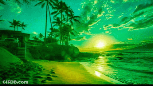 A Painting Of A Beach With Palm Trees And A Sunset In The Background GIF
