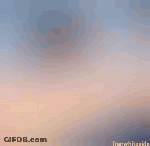 A Painting Of A Bird Flying In The Sky With Franwhiteside Written On The Bottom GIF