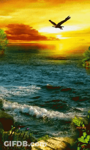 A Painting Of A Bird Flying Over A Body Of Water With The Name Mary On The Bottom GIF