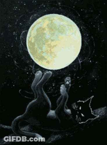 A Painting Of A Black Cat Laying On A Branch With A Full Moon In The Background GIF