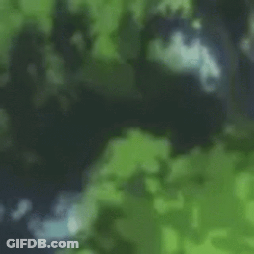 A Painting Of A Butterfly Flying Through The Trees GIF