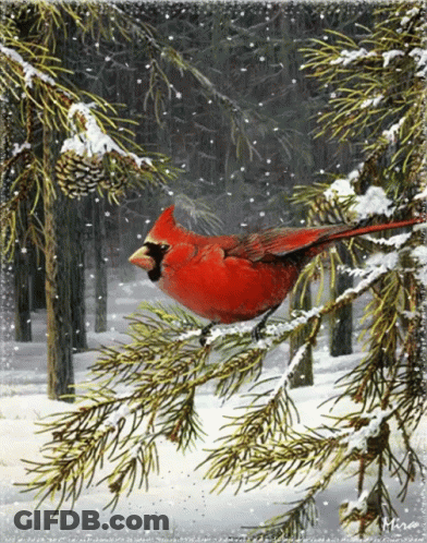 A Painting Of A Cardinal Sitting On A Snowy Branch GIF