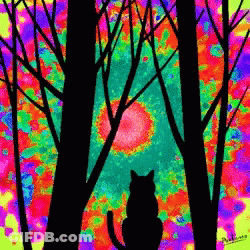 A Painting Of A Cat In A Forest With The Name Arizona On The Bottom Right GIF